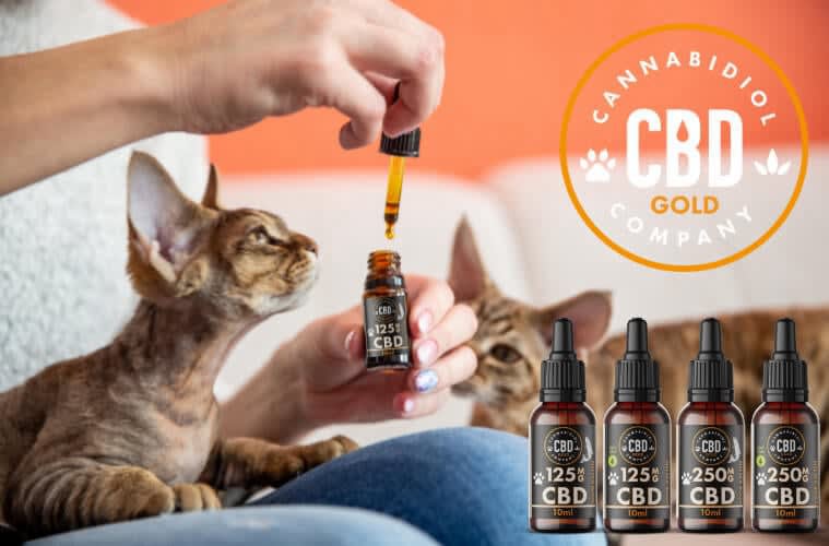 cbd doseren bij katten