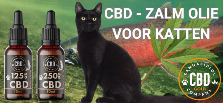 cbd met zalm olie voor katten