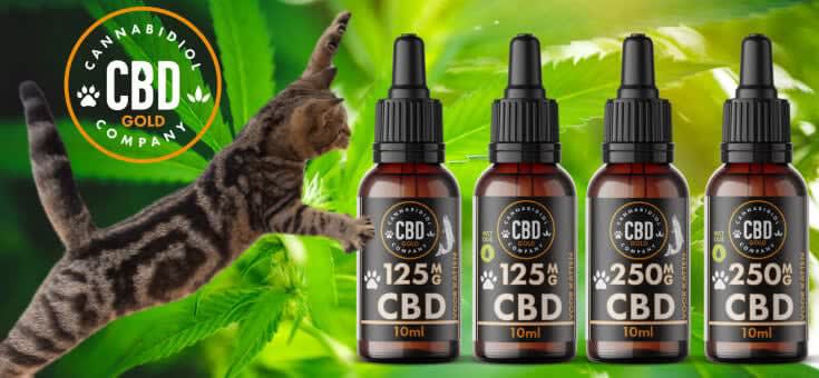 cbd producten voor katten